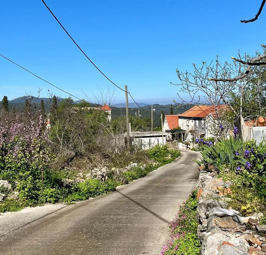 Olivier House Villa Zaglav Holiday home